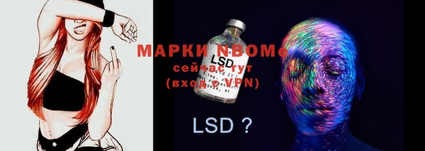 ПСИЛОЦИБИНОВЫЕ ГРИБЫ Алексеевка