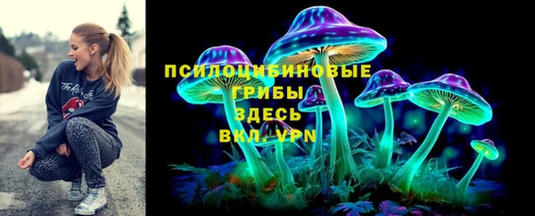 apvp Абаза