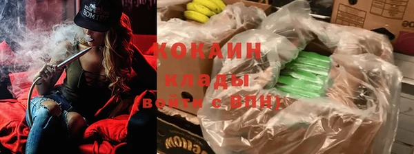 ПСИЛОЦИБИНОВЫЕ ГРИБЫ Алексеевка
