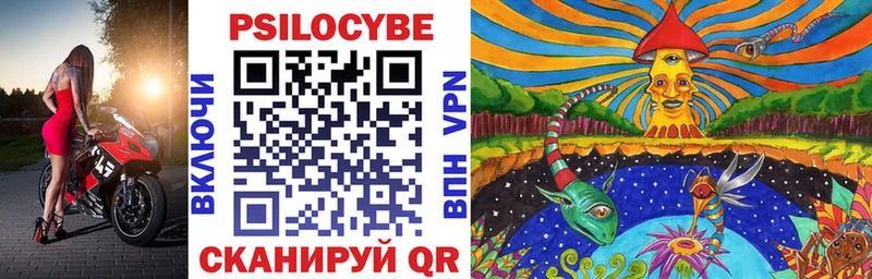 Галлюциногенные грибы Psilocybine cubensis Духовщина